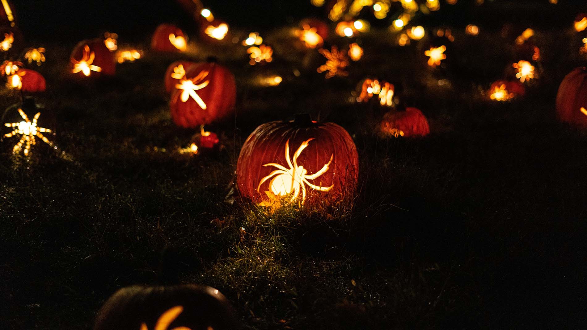 Happy Halloween!